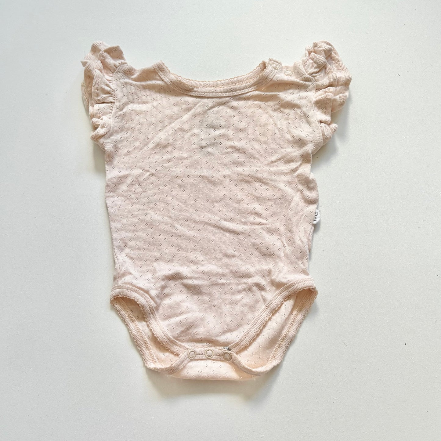 $2 BASICS - India & Grace Pointelle Bodysuit, Size 0